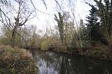 weimar_nach_apolda_11_2017_57