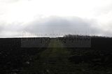weimar_nach_apolda_11_2017_62