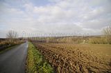 weimar_nach_apolda_11_2017_64