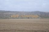 weimar_nach_apolda_11_2017_66