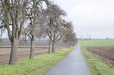 weimar_nach_apolda_11_2017_67