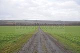 weimar_nach_apolda_11_2017_69