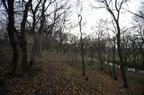 weimar_nach_apolda_11_2017_77
