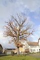 weimar_nach_apolda_11_2017_86