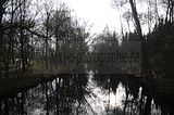 weimar_nach_apolda_11_2017_87