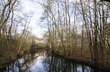 weimar_nach_apolda_11_2017_88