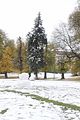weimar-park-ilm-28-10-2012-001