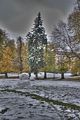 weimar-park-ilm-28-10-2012-002