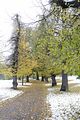 weimar-park-ilm-28-10-2012-003