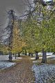 weimar-park-ilm-28-10-2012-004