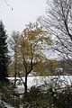 weimar-park-ilm-28-10-2012-013