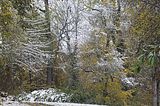 weimar-park-ilm-28-10-2012-015