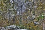 weimar-park-ilm-28-10-2012-016