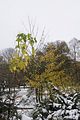 weimar-park-ilm-28-10-2012-023