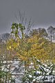 weimar-park-ilm-28-10-2012-024
