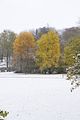 weimar-park-ilm-28-10-2012-027