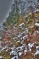 weimar-park-ilm-28-10-2012-033
