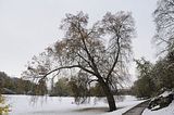 weimar-park-ilm-28-10-2012-038