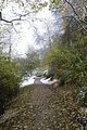 weimar-park-ilm-28-10-2012-040