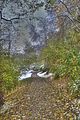 weimar-park-ilm-28-10-2012-041