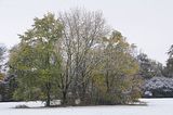 weimar-park-ilm-28-10-2012-042