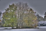 weimar-park-ilm-28-10-2012-043