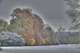 weimar-park-ilm-28-10-2012-045
