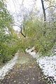 weimar-park-ilm-28-10-2012-046