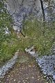 weimar-park-ilm-28-10-2012-047