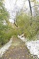weimar-park-ilm-28-10-2012-048