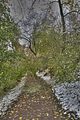 weimar-park-ilm-28-10-2012-049