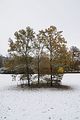 weimar-park-ilm-28-10-2012-052