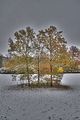 weimar-park-ilm-28-10-2012-053
