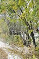 weimar-park-ilm-28-10-2012-054