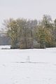 weimar-park-ilm-28-10-2012-058