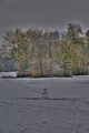 weimar-park-ilm-28-10-2012-059