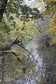 weimar-park-ilm-28-10-2012-064