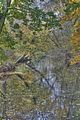 weimar-park-ilm-28-10-2012-065