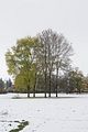 weimar-park-ilm-28-10-2012-068