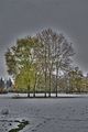 weimar-park-ilm-28-10-2012-069