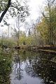 weimar-park-ilm-28-10-2012-070