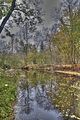 weimar-park-ilm-28-10-2012-071