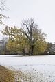 weimar-park-ilm-28-10-2012-072