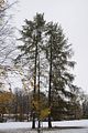 weimar-park-ilm-28-10-2012-076