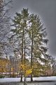 weimar-park-ilm-28-10-2012-077