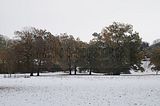 weimar-park-ilm-28-10-2012-090