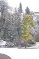 weimar-park-ilm-28-10-2012-092