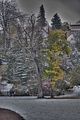 weimar-park-ilm-28-10-2012-093