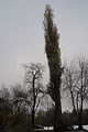 weimar-park-ilm-28-10-2012-094