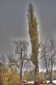 weimar-park-ilm-28-10-2012-095